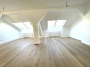 Neu sanierte Dachgeschoßwohnung, 3,5 Zimmer mit Terrasse...