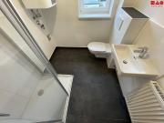 Neu sanierte Singlewohnung in Thermennähe, auf Wunsch...