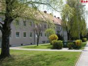 neu sanierte singlewohnung in thermennähe, auf wunsch...