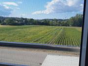 Neubau Genossenschaftswohnung 3 Zimmer in Amstetten mit...