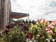 Neubau: Traumhafte Dachgeschosswohnung in Wels/Neustadt