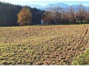 Neubauhaus Provisionsfrei