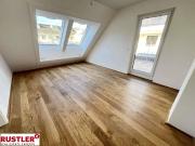 Neubauprojekt CALVI | 3 Stöckiges Reihenhaus mit Garten,...