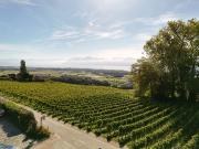 Neue High End Villa: 360 m² Licht und Prestige mit Blick...