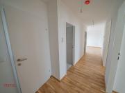NEUE PREISE! Neubau Vierzimmer Dachwohnung