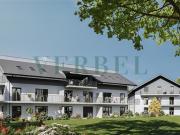 Neue schlüsselfertige Promotion