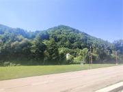 !Sommerhit Neuer Preis Natur, Wein, Gesundheit Ihr Haus...