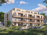 Neues Closelia Projekt – 2,5 Stück