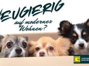 Neugierig auf modernes Wohnen in der Donaustadt