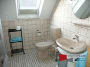 Neustadt, großzügige möblierte 1 Zimmer Wohnung mit...