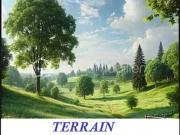 Neuville sur Brenne 37110 Achat / Vente terrain