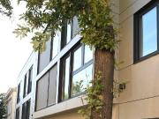 Neuwertige 2 Zimmer Wohnung im 1.OG mit Grünblick