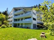 Newly renovated 3.5 room apartment in Sörenberg also as...