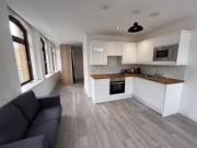 Cheap 1 BA 1 bedroom apartment for rent in 4 James...