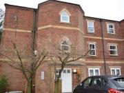 Cozy 1 BA 2 bedroom apartment for rent in Woodlands...