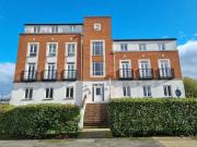 For Rent! 1 bedroom flat share for rent in Dragon Road,...