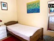 Charming 1 BR Snug room for rent in 3 bedroom house,...