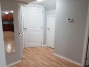 Nice 2 Bedroom Updated 2 bed 1 bath basement suiteIn