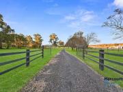 Cozy 35 Wolseley Road, Mcgraths Hill, NSW 2756