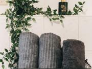 New, beautiful apartment in Dresden, Dresden Amsterdam...