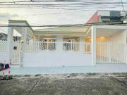 New Bungalow House and Lot for sale in Pilar Village