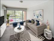 New carpet and a tree top view