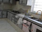 New Corner 5 Beds Allama Iqbal Town Sikandar Block