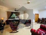 New Ground Portion Is Available For Rent In E 11/3... New Ground Portion Is Available For Rent In E 11/3...