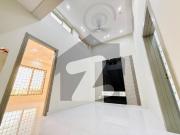 New Heighted Location Designer House