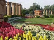 New Home Available in Wapda City Faisalabad ID 58900