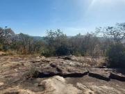 New home in Wildlife Estate