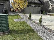 New House For Rent In Rosenthal