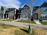 New House in Mahogany