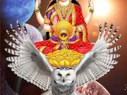 New Laxmi Property Commercial Shop 500 Sq. Ft. in Nirman...