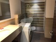 New Luxurious Furnished Apartment For Rent Constitution...