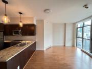 New luxury home basement only $1250