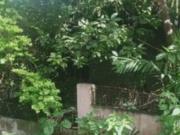 New Manila Betty Go Belmonte 381 sqm. Lot For Sale in...