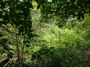 New Manila Rolling Hills Village 520 sqm Lot for Sale,...