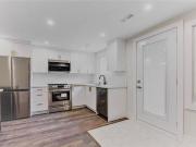NEW Open Concept Lower 2 bedroom Large Living Space Apt...