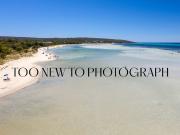 Renovated Cottage on Large Block