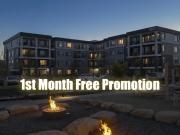 New Unit Ground Floor Condo with Private Entry | 2 Bed 1...