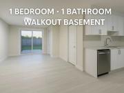 New Walkout Basement