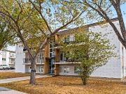 Newly Renovated 2 & 1 Bedroom Apartments Available