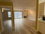 Newly Renovated Beautiful 2 Bedroom 2 Bathroom Downtown...