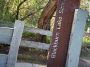 Newly Renovated Family Home with Standalone Office in...