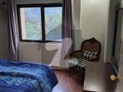 Newly Renovated Fully Furnished Flat Available For Rent... Newly Renovated Fully Furnished Flat Available For Rent...