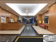 Newly Renovated Fully Furnished Large 1 Bedroom...