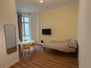Newly renovated, furnished 1 room apartment in Kreuzberg
