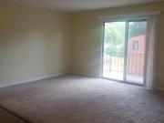 Newly Upgraded 1BR/ Pet Friendly/ Laundry/ Near U of L 1...