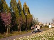 NEWPORT East Hampton 30 River Court 3BR/2BA